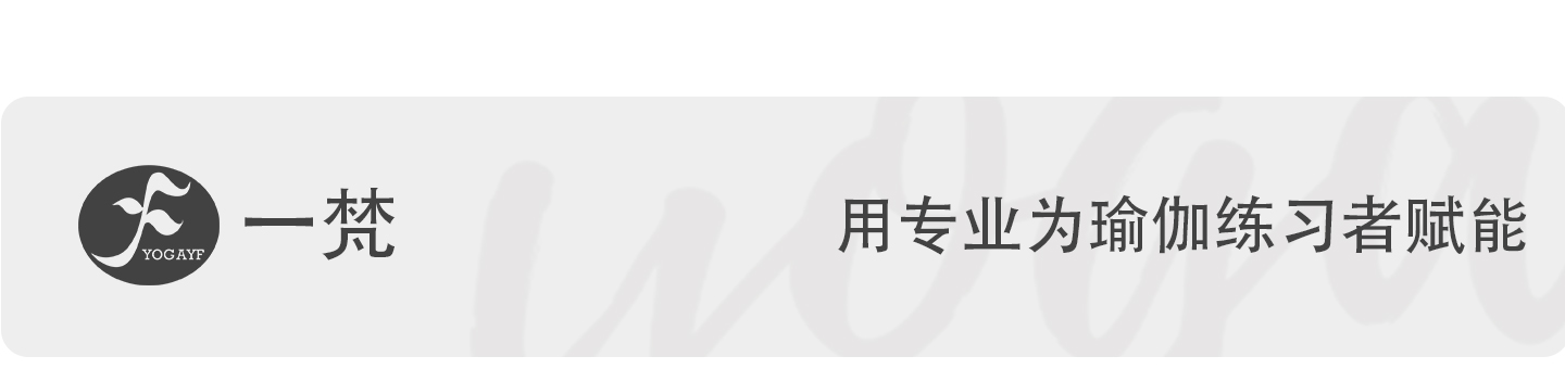 2025-新高密度瑜伽砖_01.jpg
