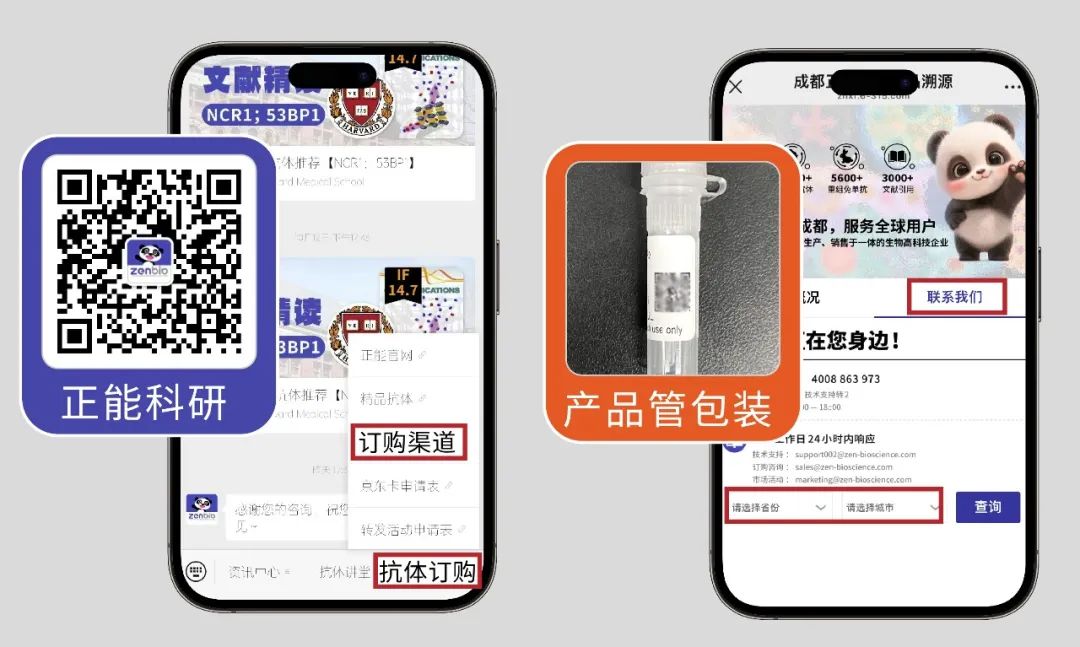 zenbio一物一码上线，包装焕新升级