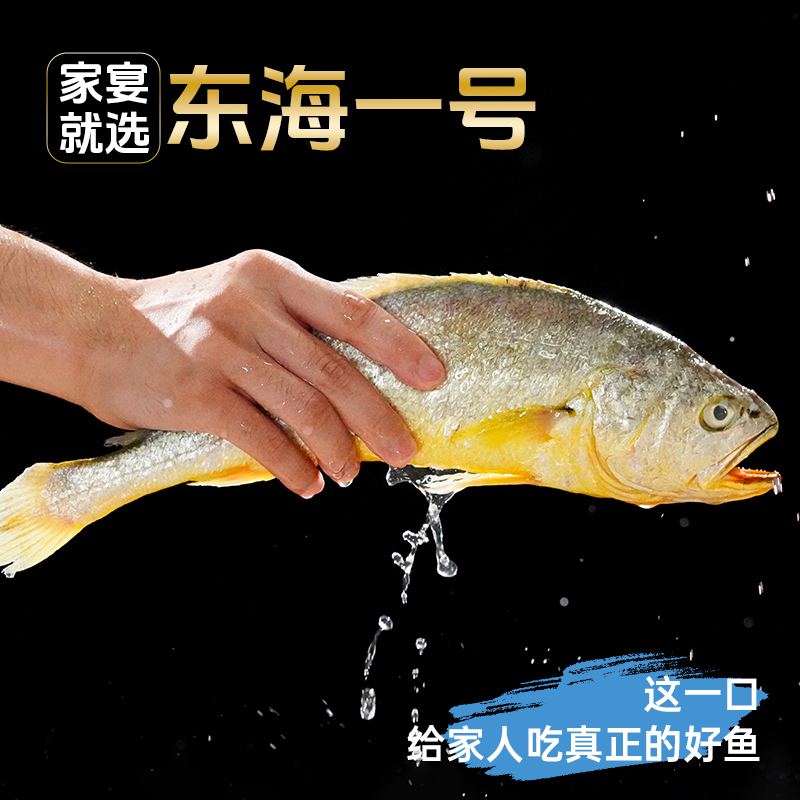 半野生大黄鱼