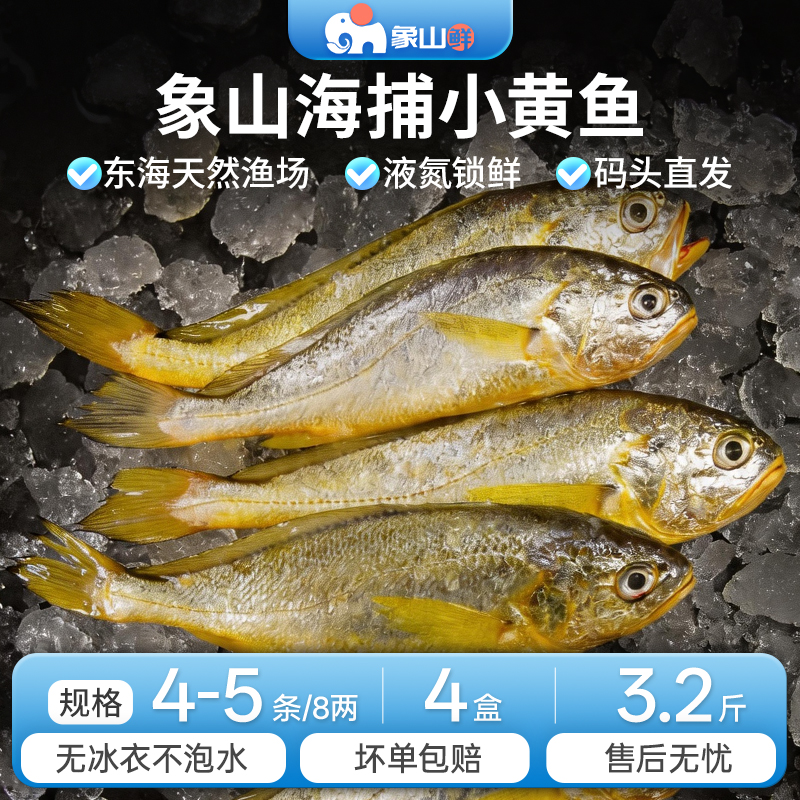 纯野生小黄鱼