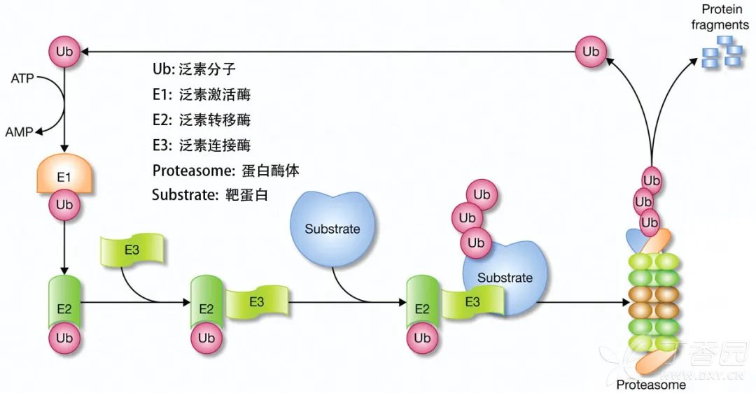 千青元文章配图2