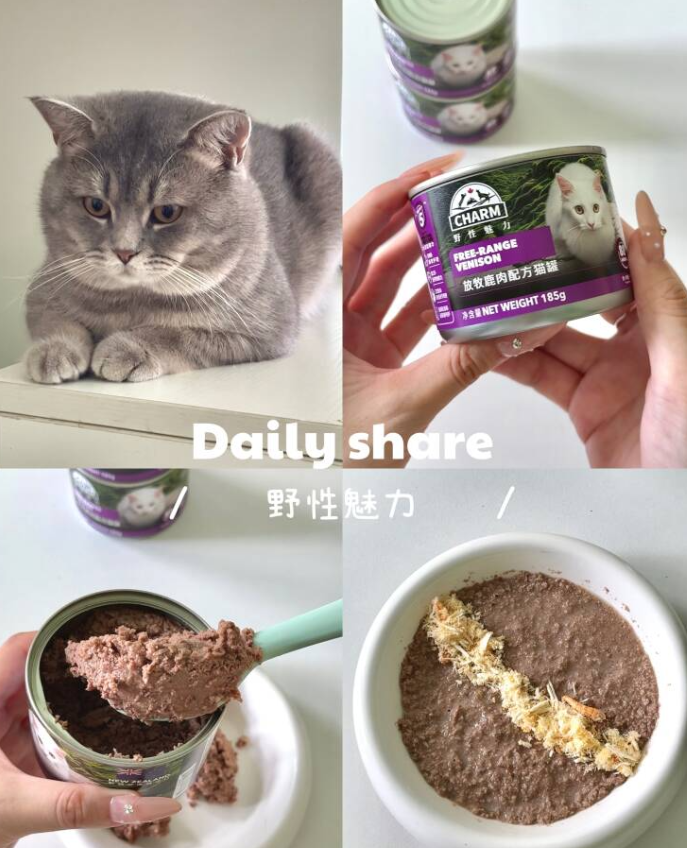 2026进口宠物食品深度测评:软便挑食偏瘦猫怎么挑 2026进口宠物食品深度测评:软便挑食偏瘦猫怎么挑