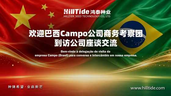 跨越山海的“种子之约”——巴西Campo公司商务考察团到访新疆鸿泰种业开展座谈交流