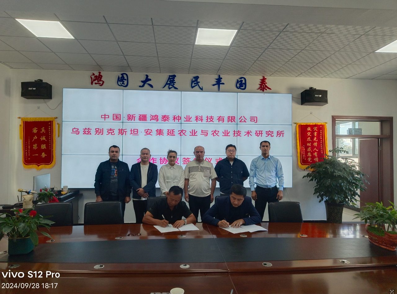 新疆棉花种子企业推荐:鸿泰种业从中亚走向巴西,海外市场持续拓展
