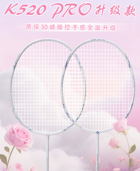 2026入门新手羽毛球拍怎么选:热门品牌选购指南 2026入门新手羽毛球拍怎么选:热门品牌选购指南