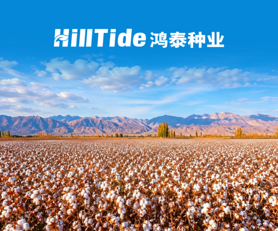 跨越山海的“种子之约”——巴西Campo公司商务考察团到访新疆鸿泰种业开展座谈交流