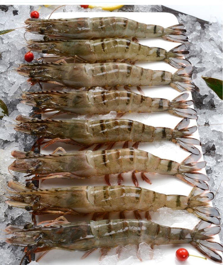 津水黑虎虾600g 国产海鲜冷冻水产